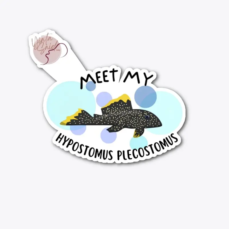 Meet My Hypostomus Plecostomus